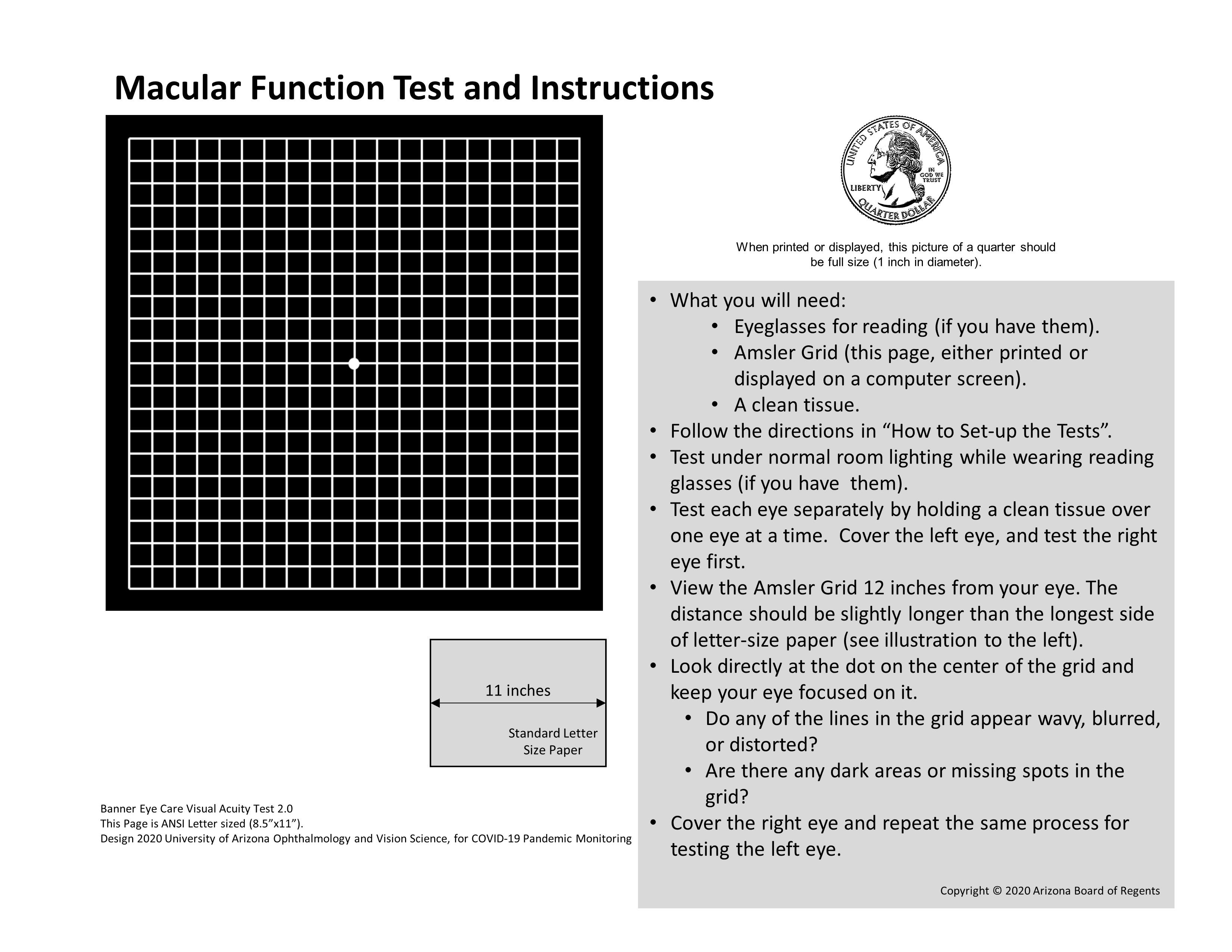 Macular Function Chart